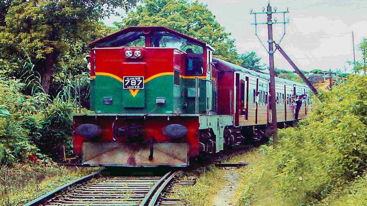 Kandy to Badulla train ride on (Train No: 1015 "Udarata Menike")