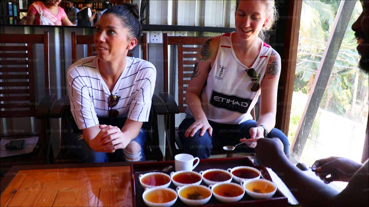 Ceylon Tea Tasting from Nuwara Eliya