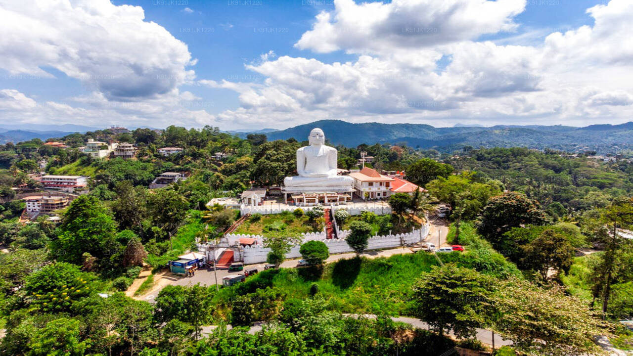 Discover Kandy by Helicopter from Bentota