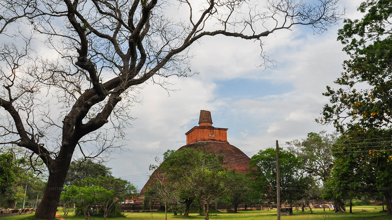 Spiritual Experience from Anuradhapura