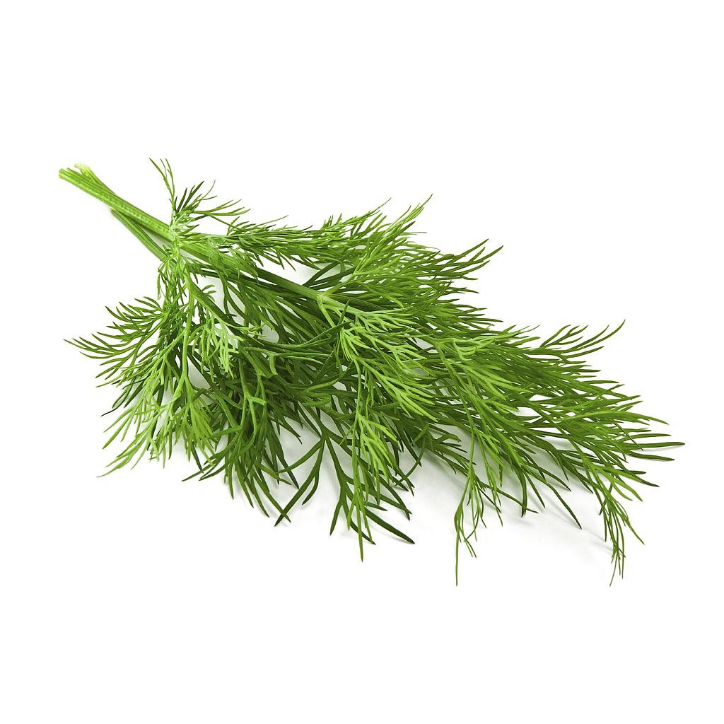 Lakpura Fresh Dill Leaves